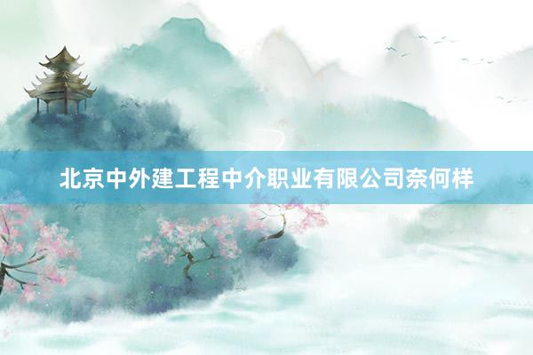 北京中外建工程中介职业有限公司奈何样