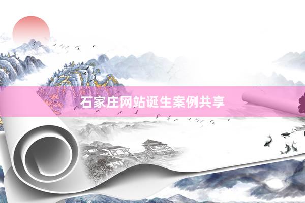 石家庄网站诞生案例共享