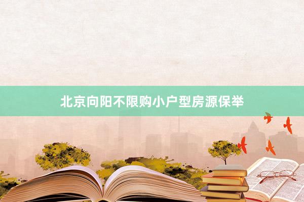 北京向阳不限购小户型房源保举