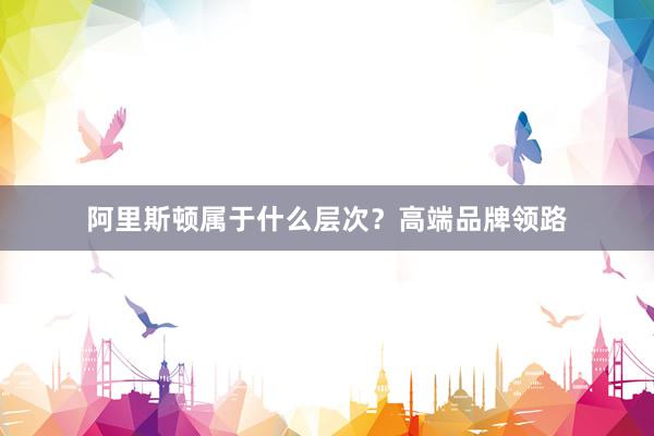 阿里斯顿属于什么层次？高端品牌领路